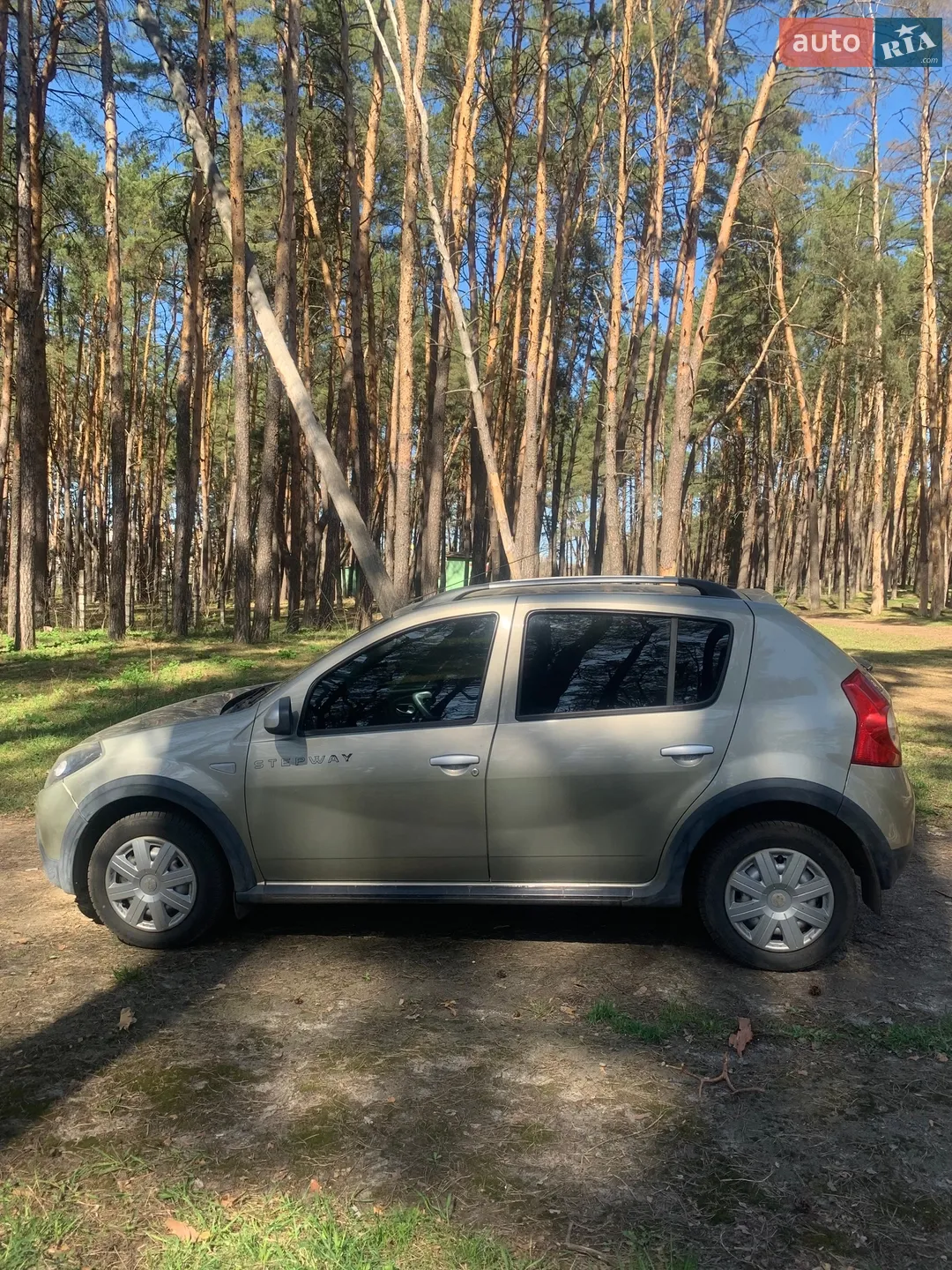 2012 Renault Sandero - мініатюра 2