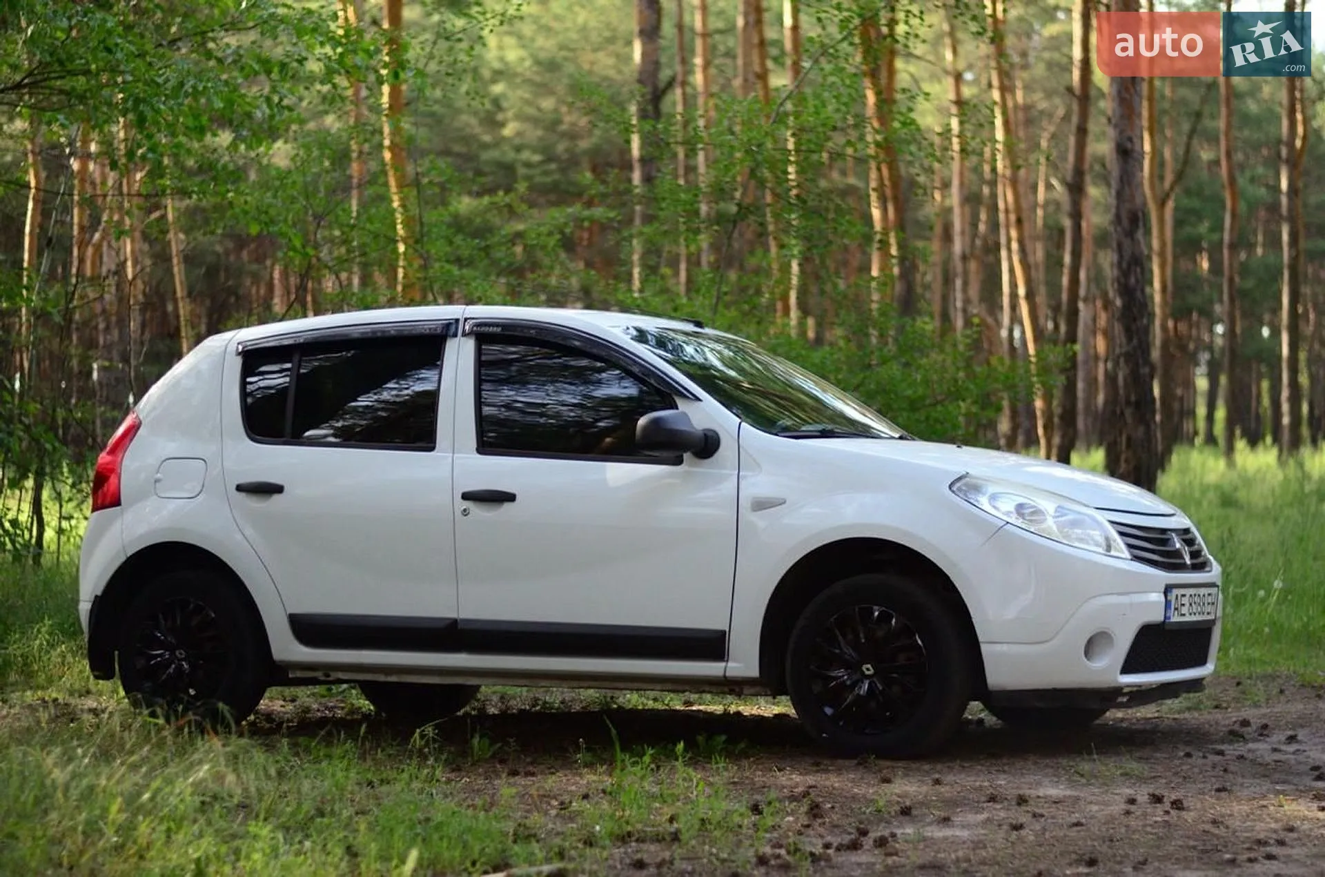 2010 Renault Sandero - мініатюра 4