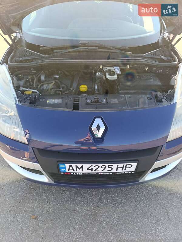 Минивэн Renault Scenic 2010 в Андрушевке
