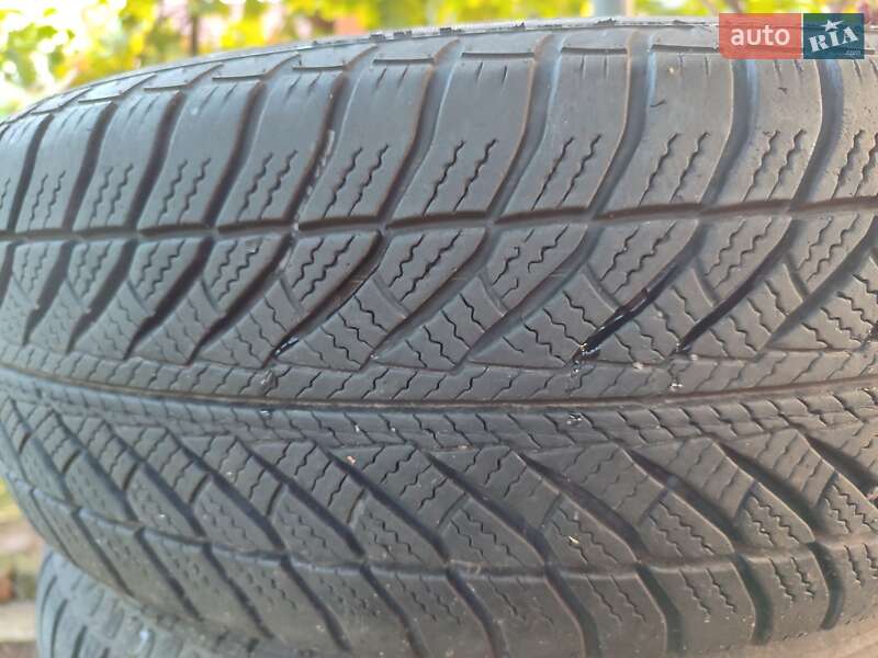 Мінівен Renault Scenic 2006 в Луцьку