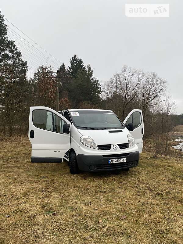 Грузовой фургон Renault Trafic 2013 в Житомире