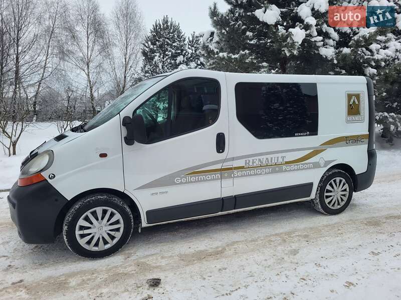 Минивэн Renault Trafic 2006 в Хмельницком