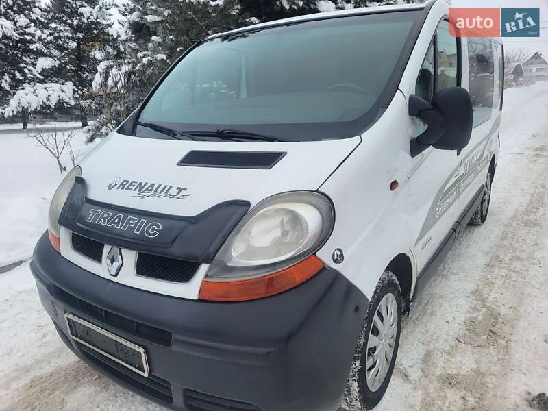 Минивэн Renault Trafic 2006 в Хмельницком