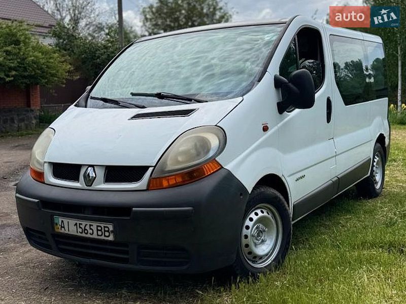 Минивэн Renault Trafic 2003 в Смеле