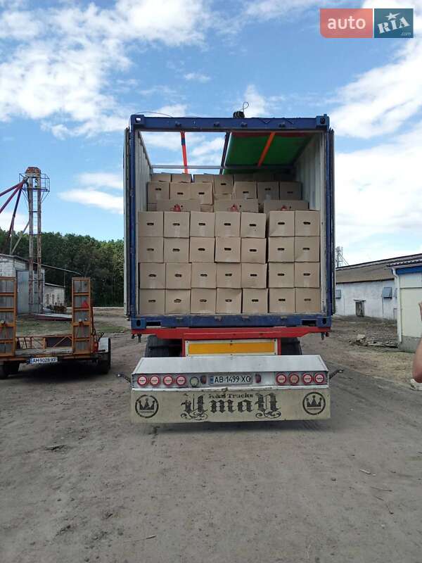 Контейнеровоз полуприцеп Renders BPW eco 1994 в Ладыжине