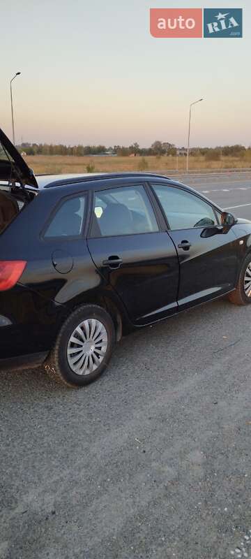 Хетчбек SEAT Ibiza 2010 в Петриківці