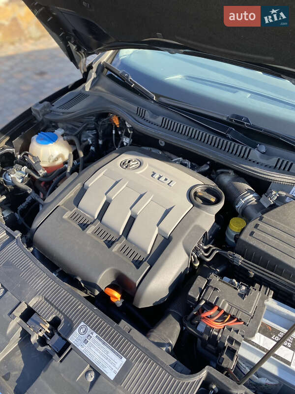 Універсал SEAT Ibiza 2011 в Звягелі