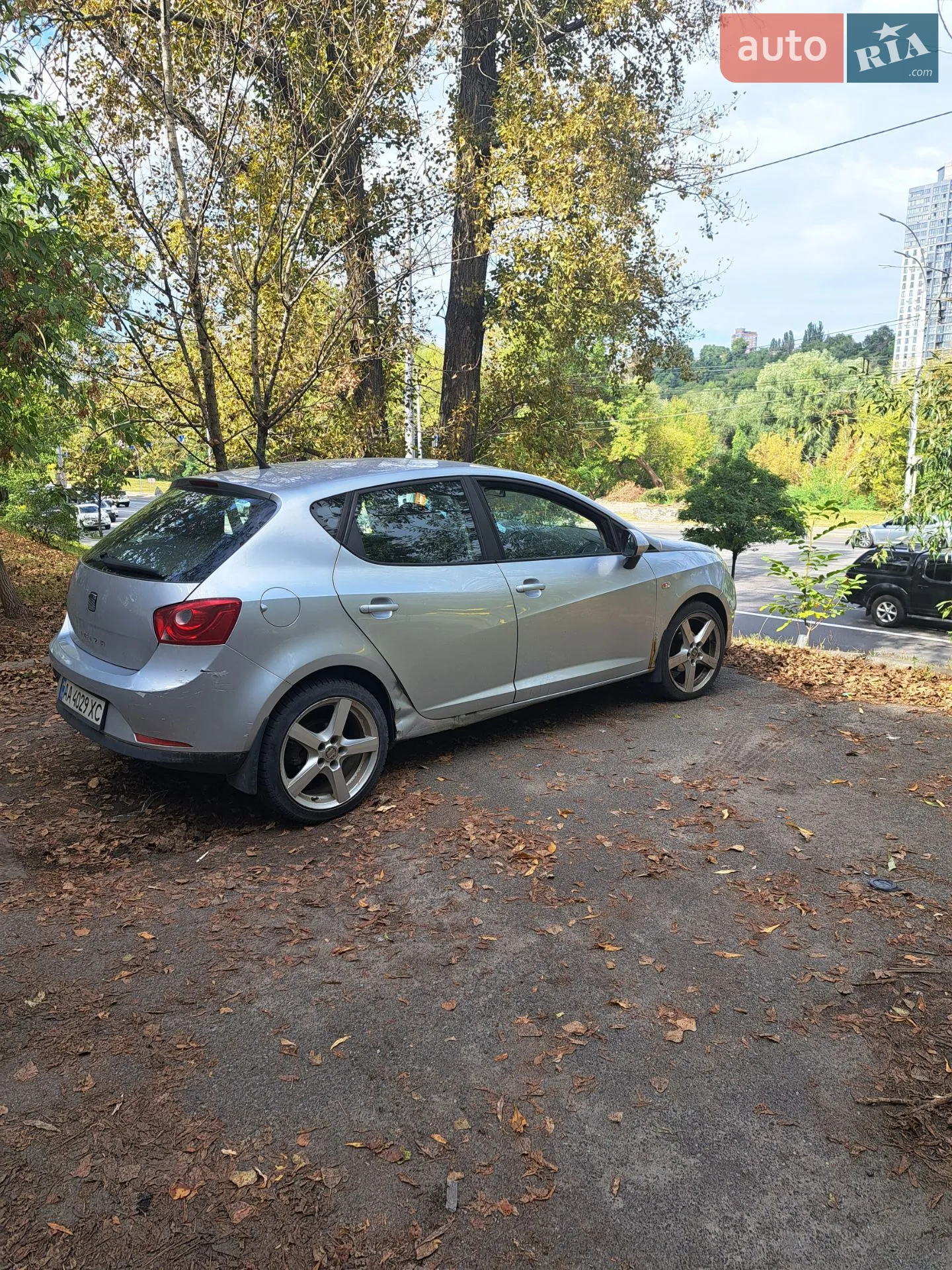 2010 SEAT Ibiza - мініатюра 7