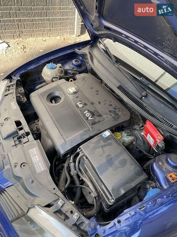 Хетчбек SEAT Ibiza 2005 в Кривому Розі