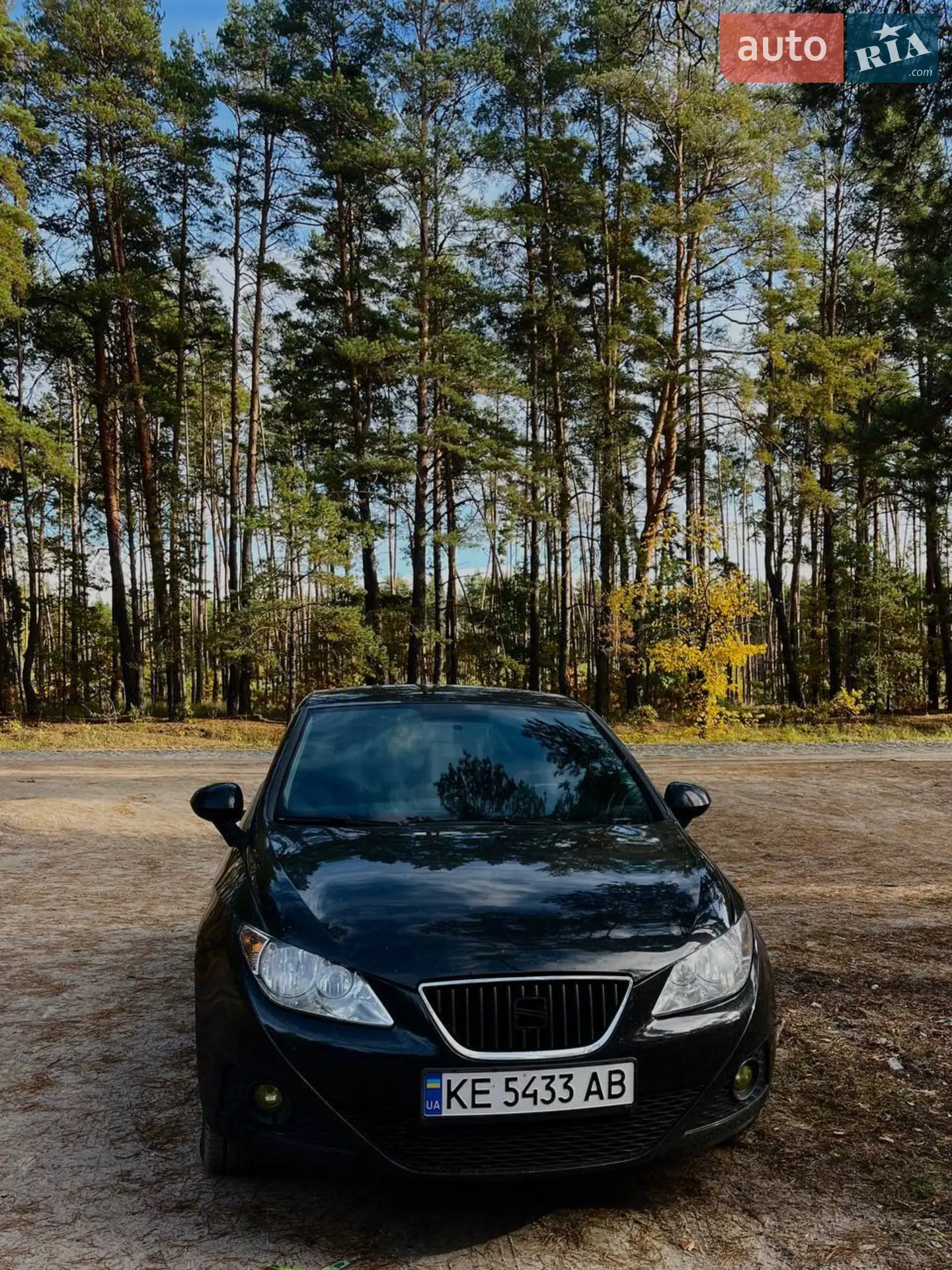 2010 SEAT Ibiza - мініатюра 3