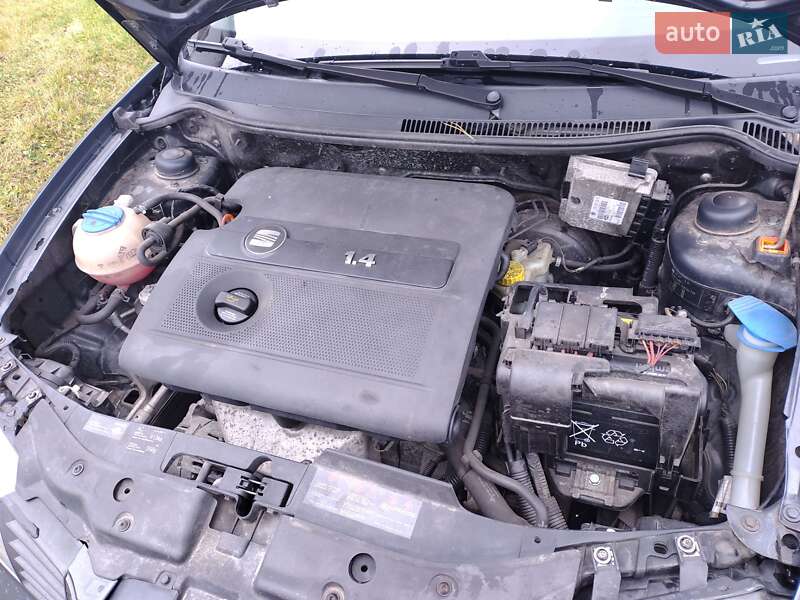 Хэтчбек SEAT Ibiza 2006 в Ровно