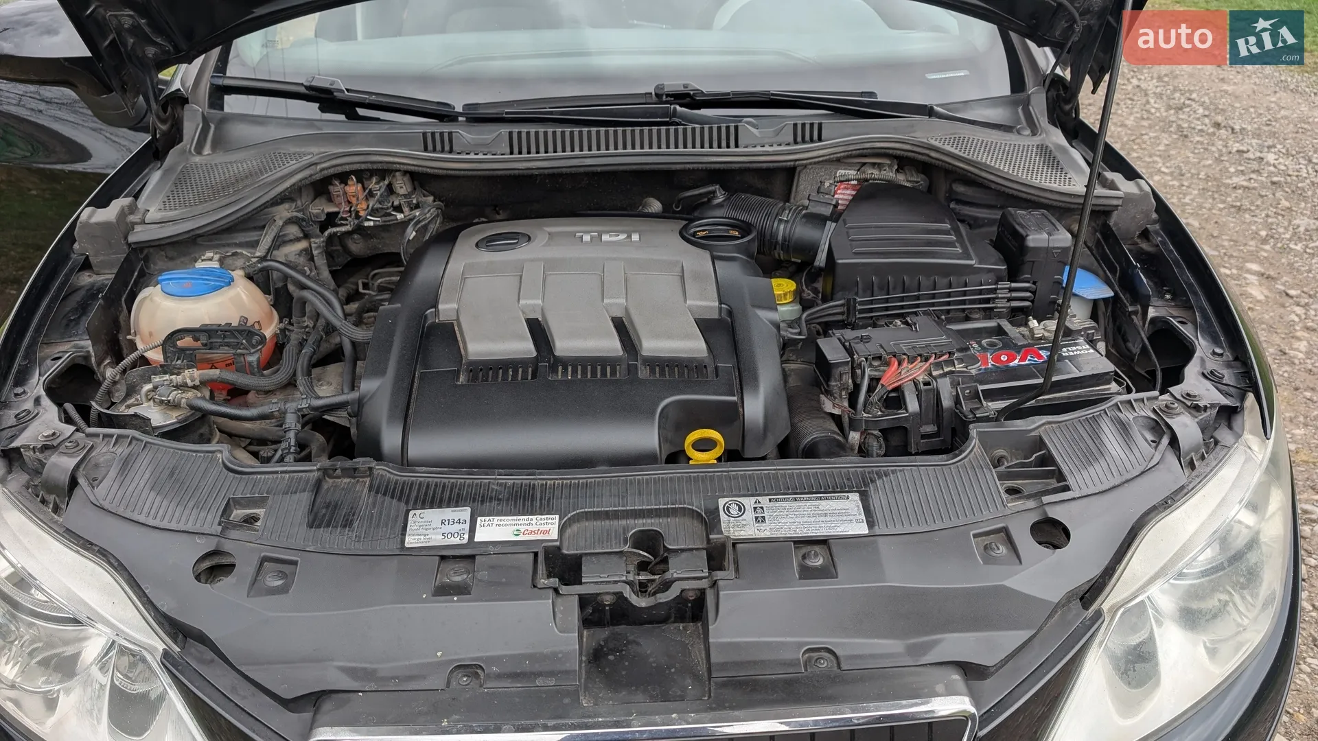 2011 SEAT Ibiza - мініатюра 7