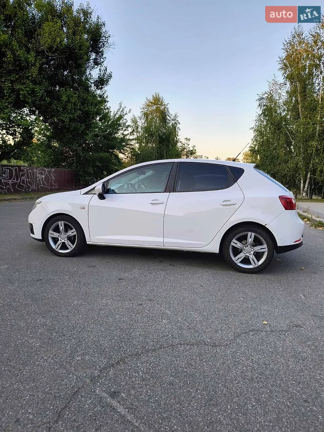 2010 SEAT Ibiza - фото 1