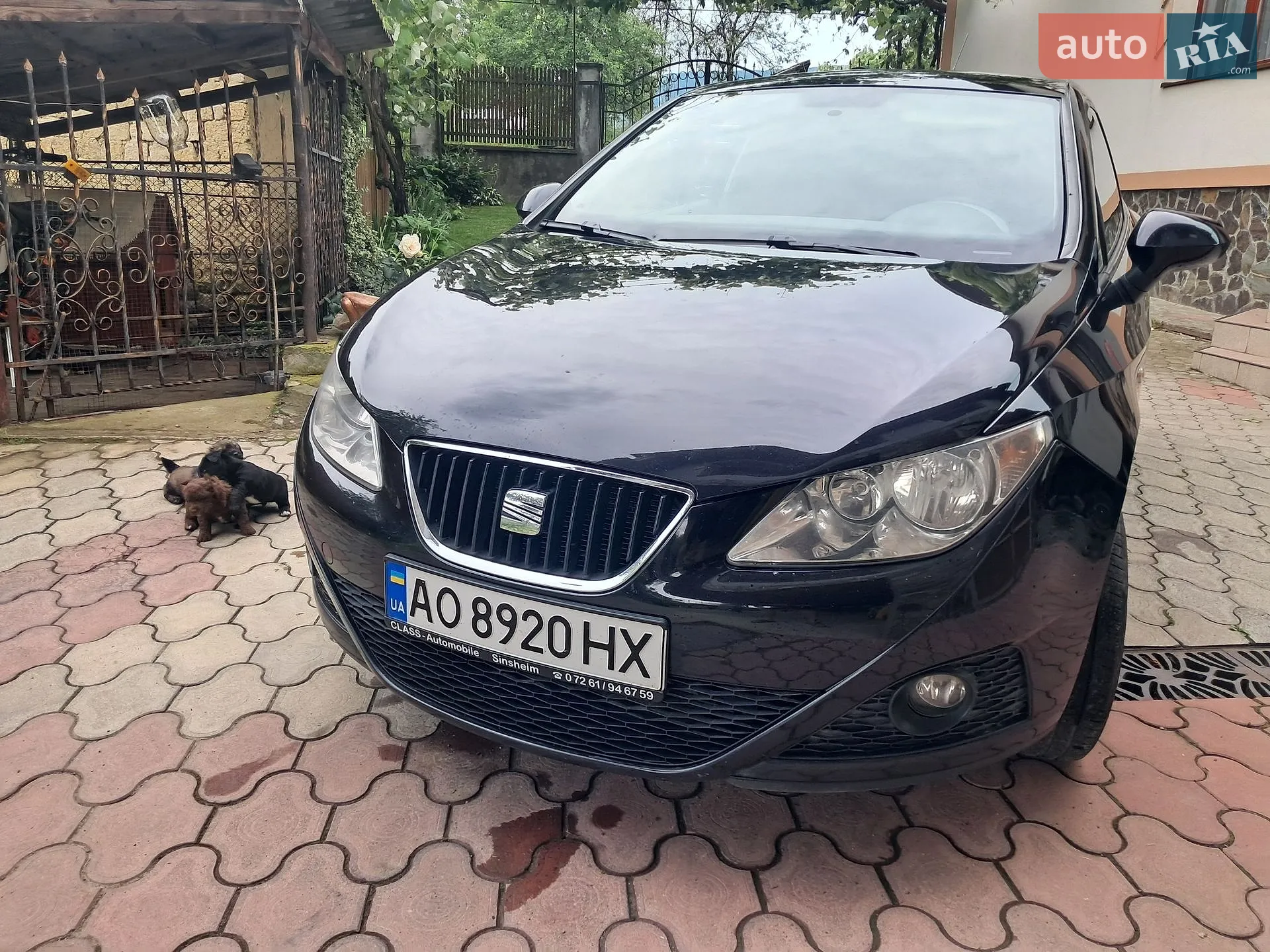 2011 SEAT Ibiza - мініатюра 5
