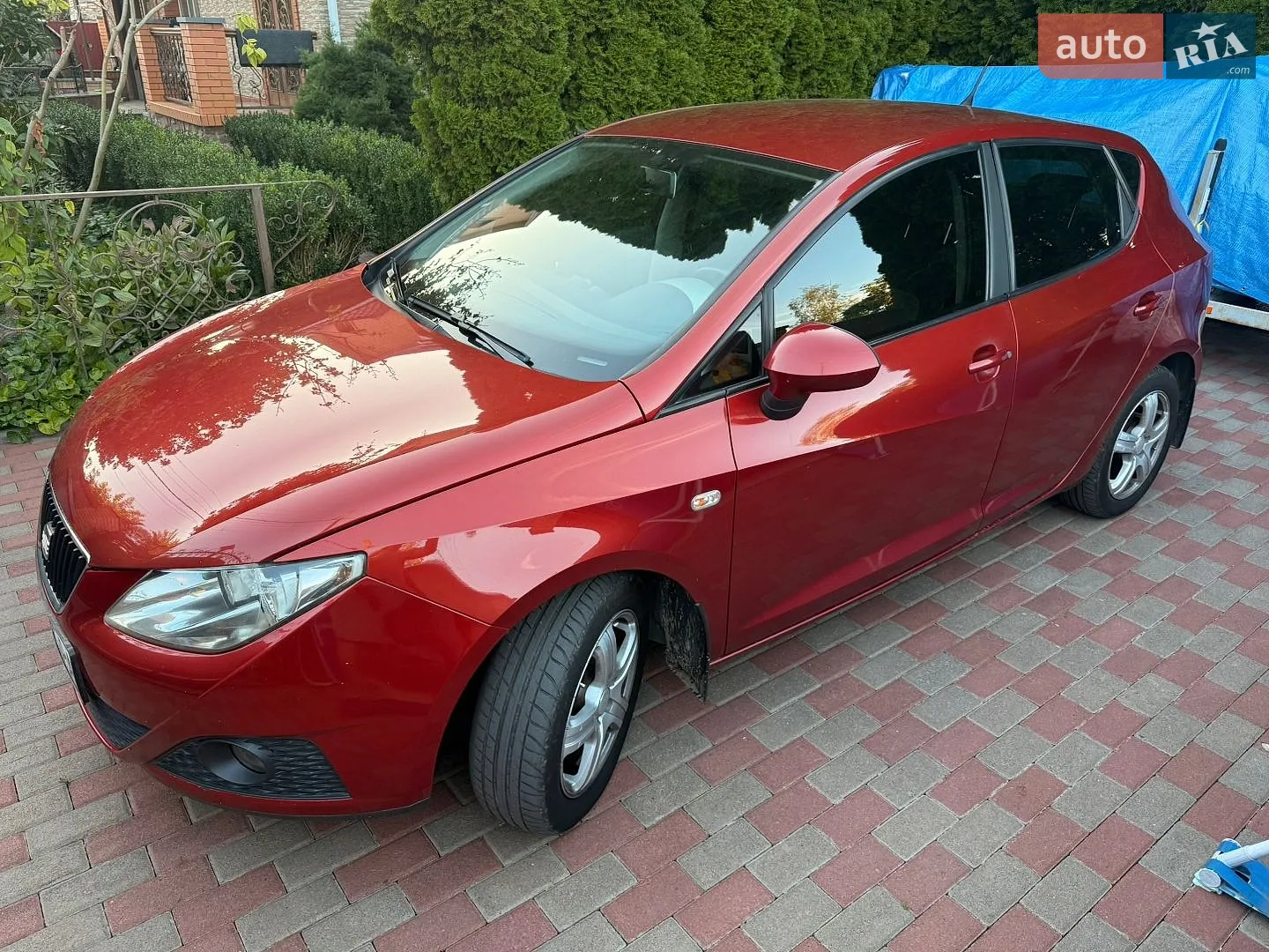 2010 SEAT Ibiza - мініатюра 2