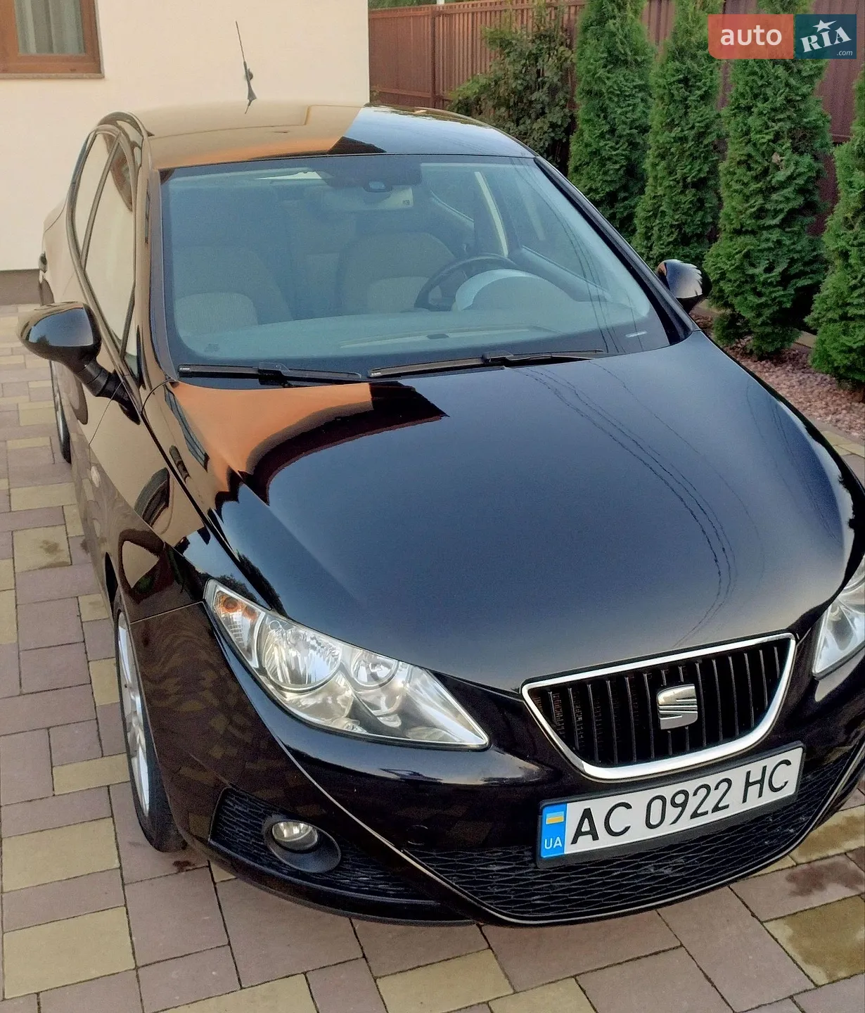 2010 SEAT Ibiza - мініатюра 8