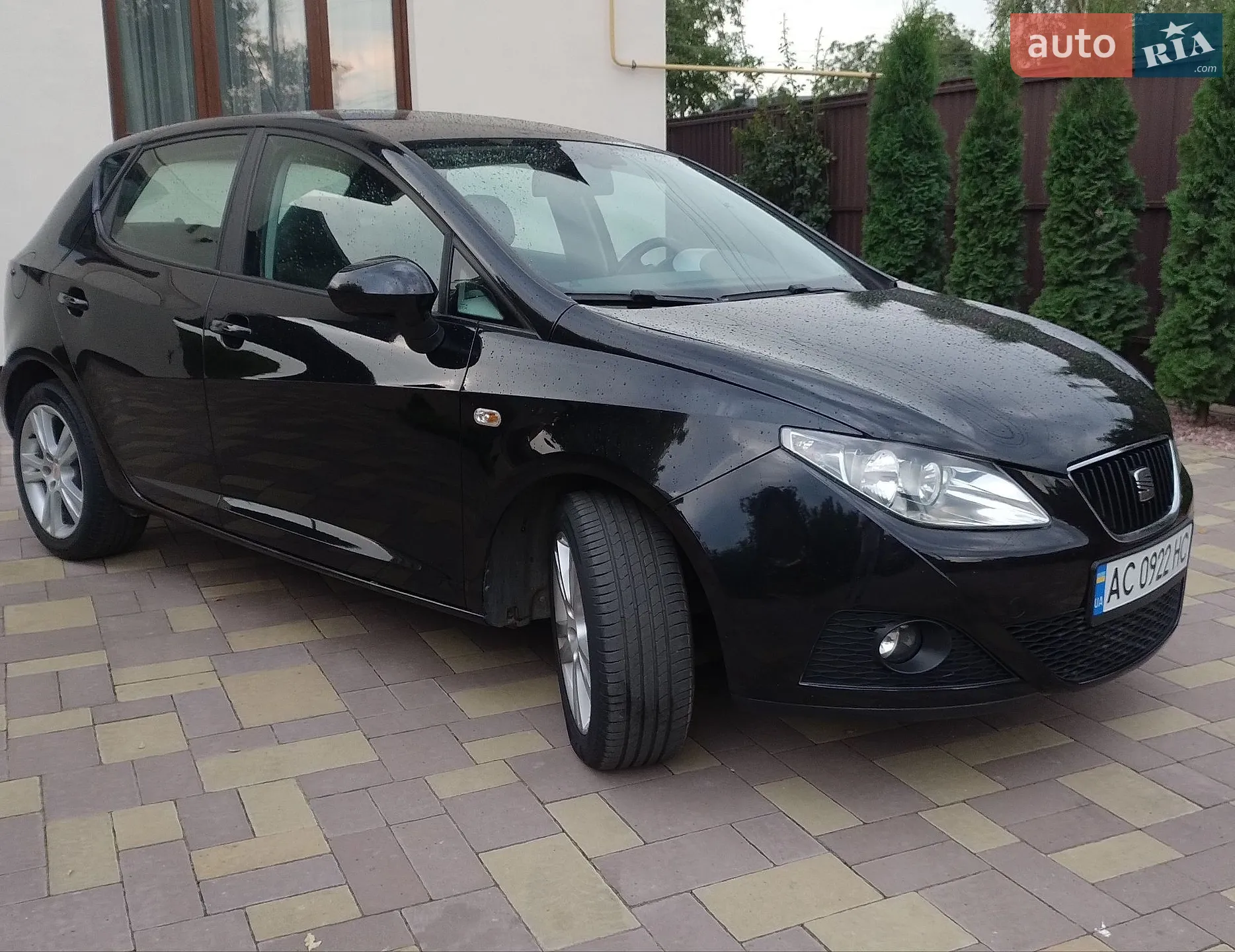 2010 SEAT Ibiza - мініатюра 2