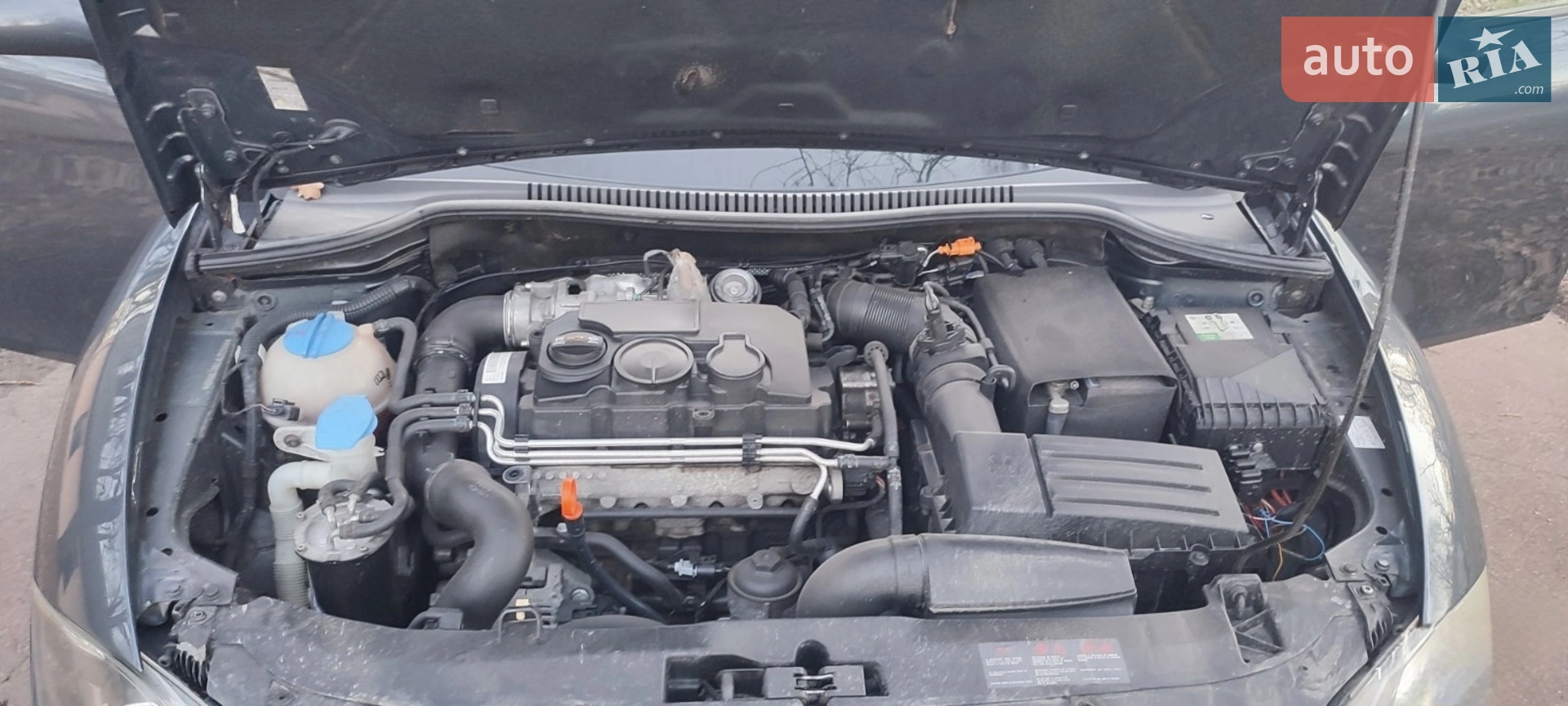 SEAT Leon 2008 VIN VSSZZZ1PZ8R116683 фото оголошення 18 з 19