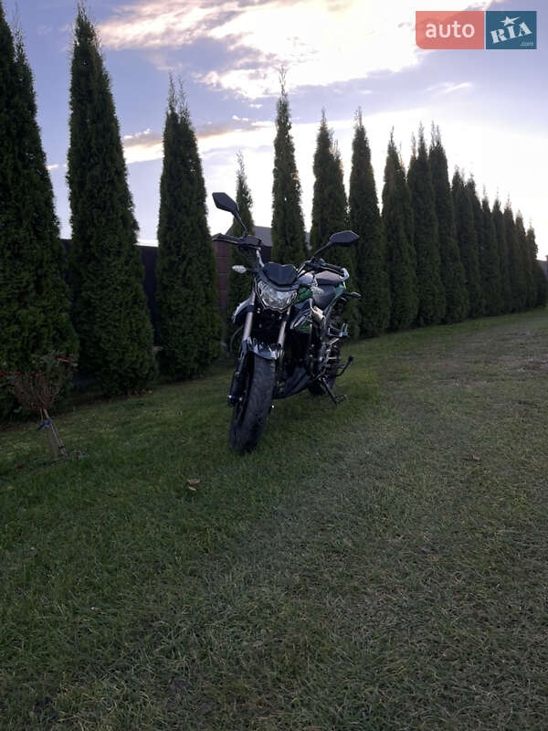 Мотоцикл Классик Senke Leopard 2023 в Подрясном фото 8 Мотоцикл Классик Senke Leopard 2023 в Подрясном