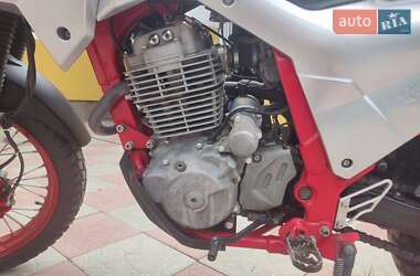 Мотоцикл Позашляховий (Enduro) Shineray Elcrosso 400 2019 в 
