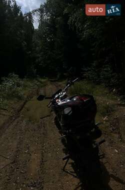 Мотоцикл Внедорожный (Enduro) Shineray VXR 300 2025 в 