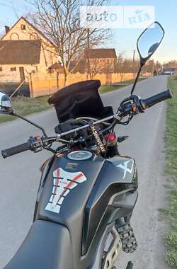 Мотоцикл Многоцелевой (All-round) Shineray X-Trail 250 Trophy 2020 в Млинове