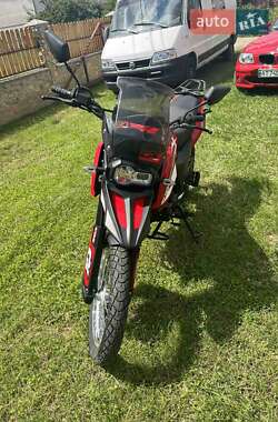 Вездеход-амфибия Shineray X-Trail 250 2010 в 