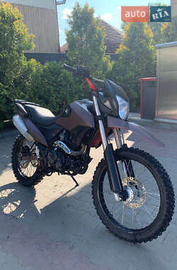 Мотоцикл Внедорожный (Enduro) Shineray XY 250GY-6C 2021 в 