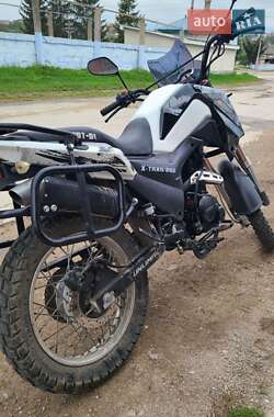 Мотоцикл Внедорожный (Enduro) Shineray XY 250GY-9A 2021 в 