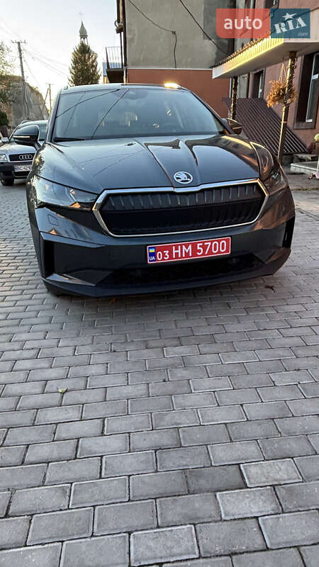 Внедорожник / Кроссовер Skoda Enyaq iV 2021 в Шептицькому