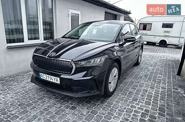 Внедорожник / Кроссовер Skoda Enyaq iV 2021 в Берестечку