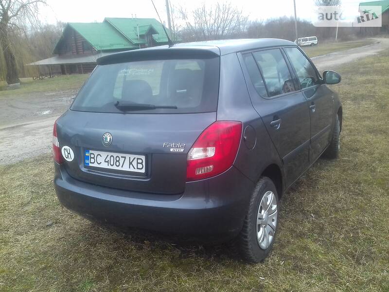 Хетчбек Skoda Fabia 2008 в Стрию