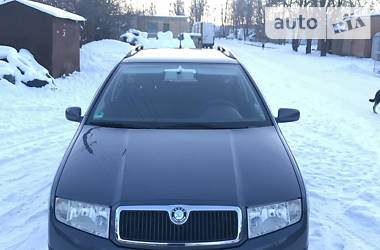 Универсал Skoda Fabia 2007 в Кропивницком