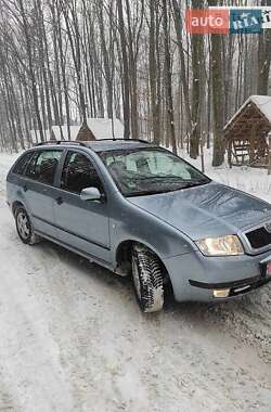 Універсал Skoda Fabia 2003 в Пустомитах