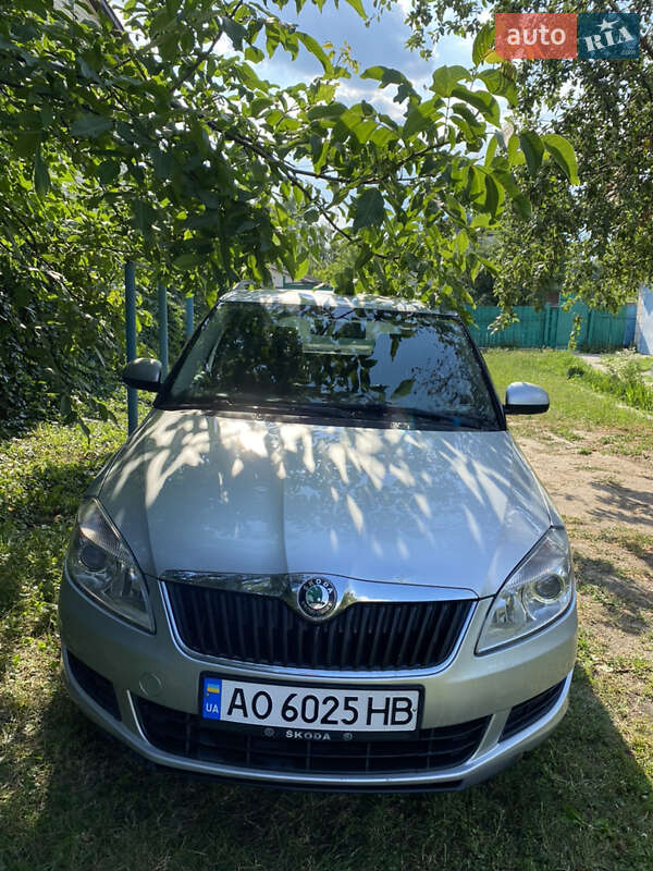 Хэтчбек Skoda Fabia 2010 в Борисполе