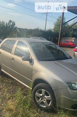 Хэтчбек Skoda Fabia 2007 в Кривом Роге