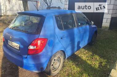 Хетчбек Skoda Fabia 2010 в Хусті