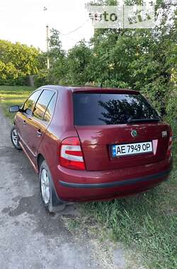 Хэтчбек Skoda Fabia 2005 в Кривом Роге