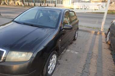 Хэтчбек Skoda Fabia 2002 в Днепре