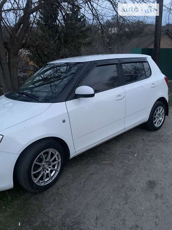 Хэтчбек Skoda Fabia 2010 в Житомире