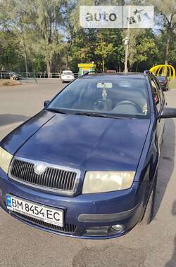 Универсал Skoda Fabia 2004 в Чернигове