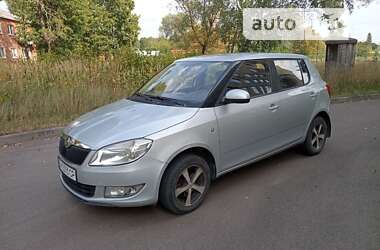 Хэтчбек Skoda Fabia 2010 в Шостке