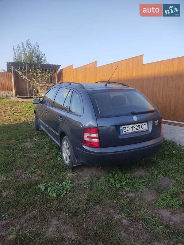 Універсал Skoda Fabia 2005 в Теребовлі