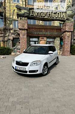 Хетчбек Skoda Fabia 2008 в Новій Водолагі