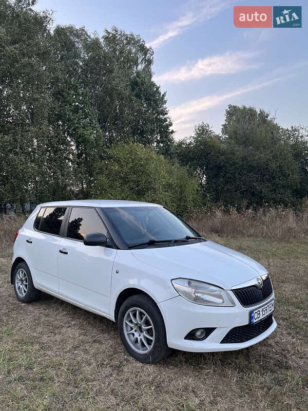 Хетчбек Skoda Fabia 2013 в Семенівці