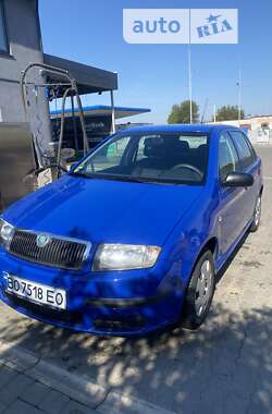 Хетчбек Skoda Fabia 2006 в Млиніві