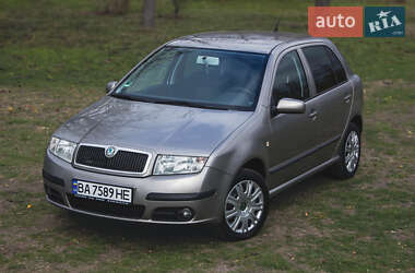 Хетчбек Skoda Fabia 2006 в Кропивницькому