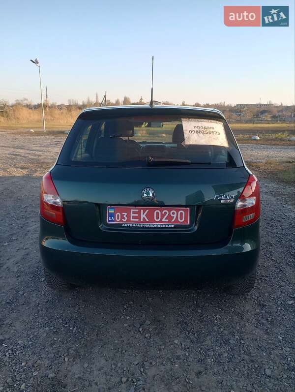 Хетчбек Skoda Fabia 2008 в Баштанці