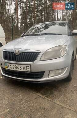 Хэтчбек Skoda Fabia 2010 в Гостомеле