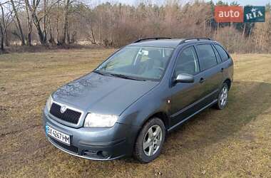 Универсал Skoda Fabia 2005 в Хмельницком